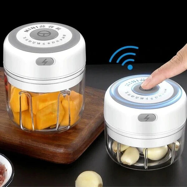 300ml mini electric food chopper for garlic and herbs